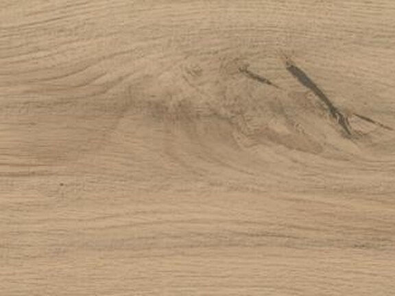 uploads/images/atlas-concorde/kleuren/log/atlasconcorde_log_moon-oak-forest.jpg