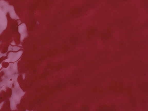 uploads/images/tonalite/kleur/exabright/tonalite_exabright_bordeaux.jpg