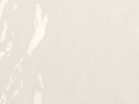 uploads/images/tonalite/kleur/exabright/tonalite_exabright_champagne.jpeg