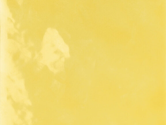 uploads/images/tonalite/kleur/fluid/tonalite_fluid_primula.jpg