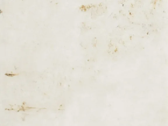 uploads/images/tonalite/kleur/safari/safari_bianco_col.webp